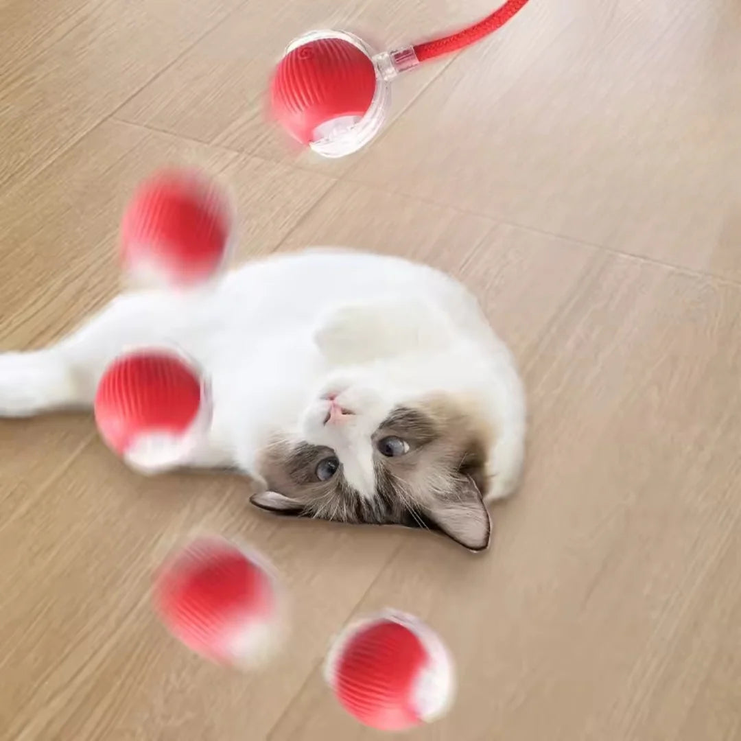 Pelota Juguetona - Juguete para mascotas