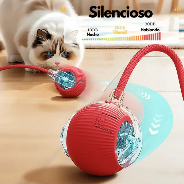 Pelota Juguetona - Juguete para mascotas