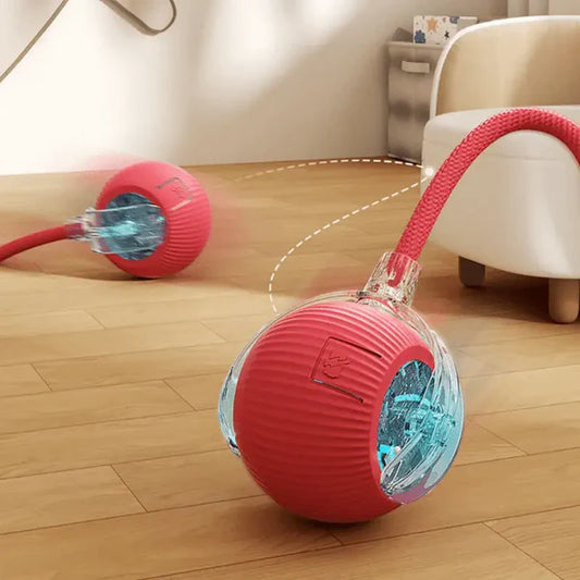 Pelota Juguetona - Juguete para mascotas