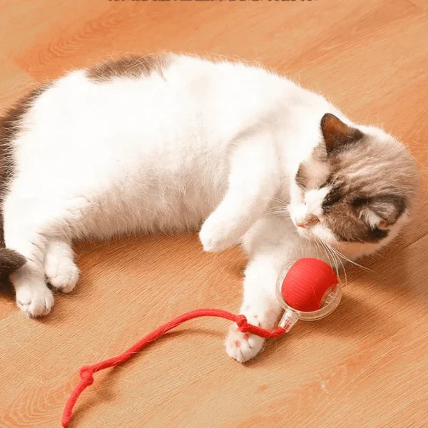 Pelota Juguetona - Juguete para mascotas