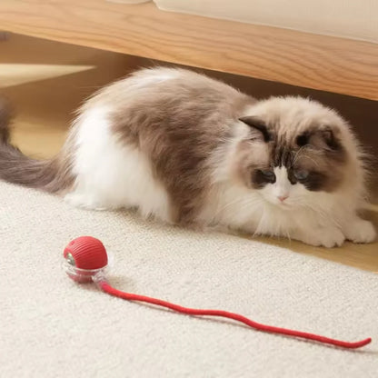 Pelota Juguetona - Juguete para mascotas