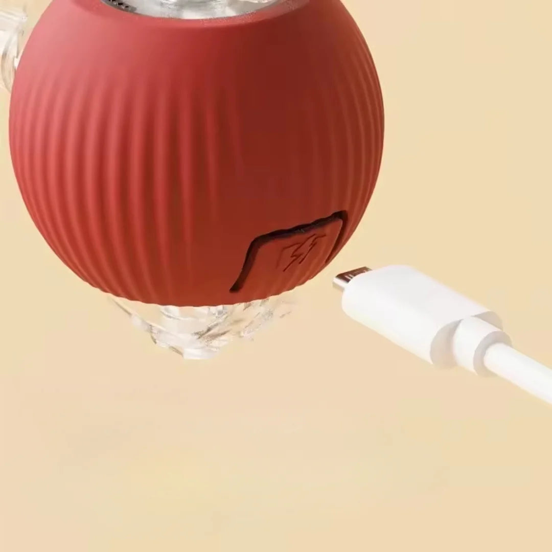 Pelota Juguetona - Juguete para mascotas