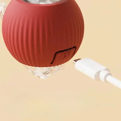 Pelota Juguetona - Juguete para mascotas