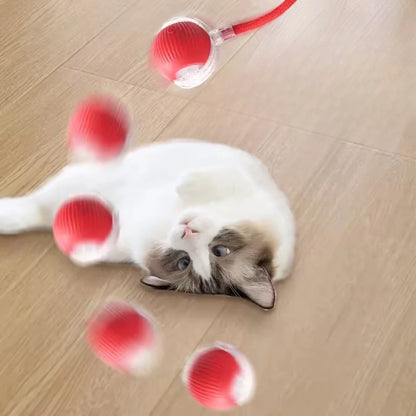 Pelota Juguetona - Juguete para mascotas