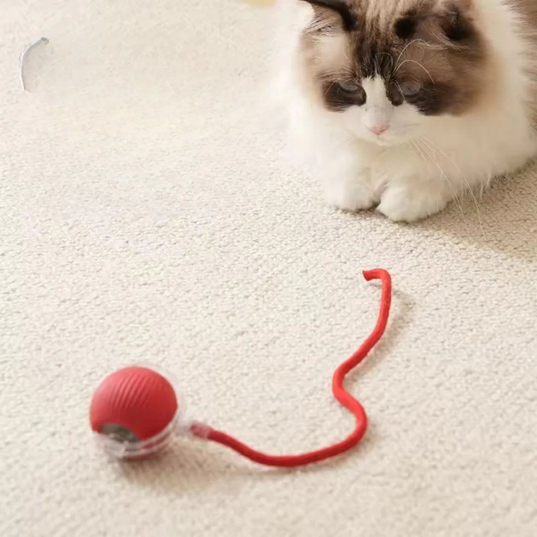 Pelota Juguetona - Juguete para mascotas
