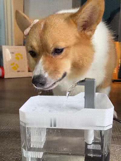 Fuente automática para mascotas