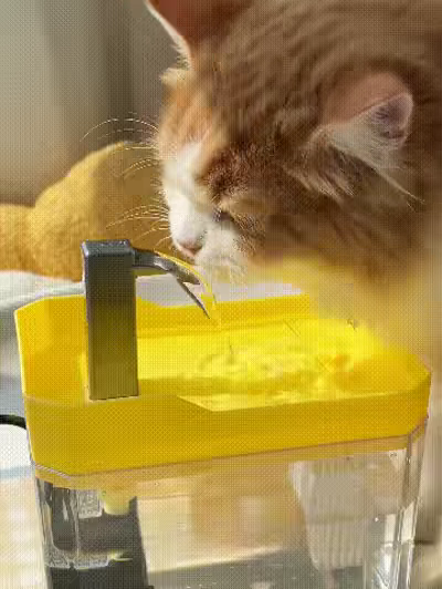 Fuente automática para mascotas